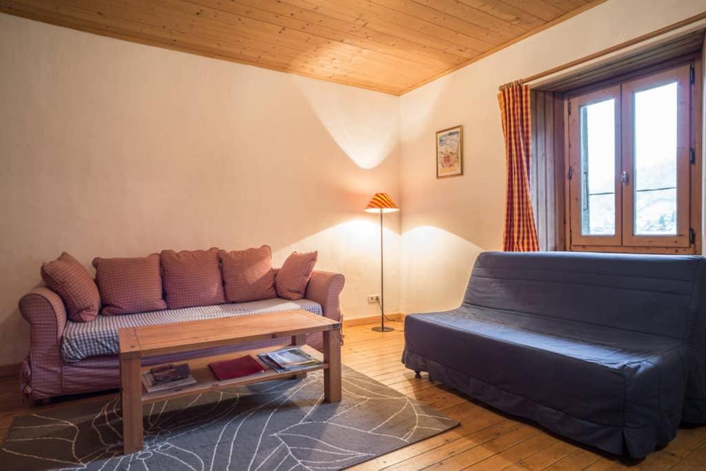 Appartement Spacieux Proche Des Telecabines Et Du Centre Ville Avec Jardin Prive 생제르베레뱅 외부 사진